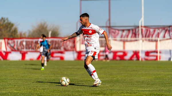 Expert tree surgeons in aberdeen: quality care for your trees