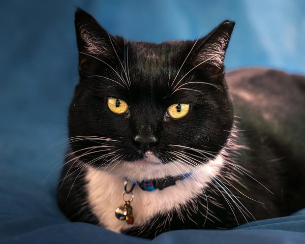 Expert asbestos removal services for your peace of mind