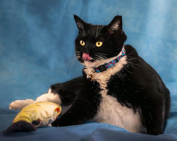 Down to earth trees: practical care, sustainability, and expert guidance